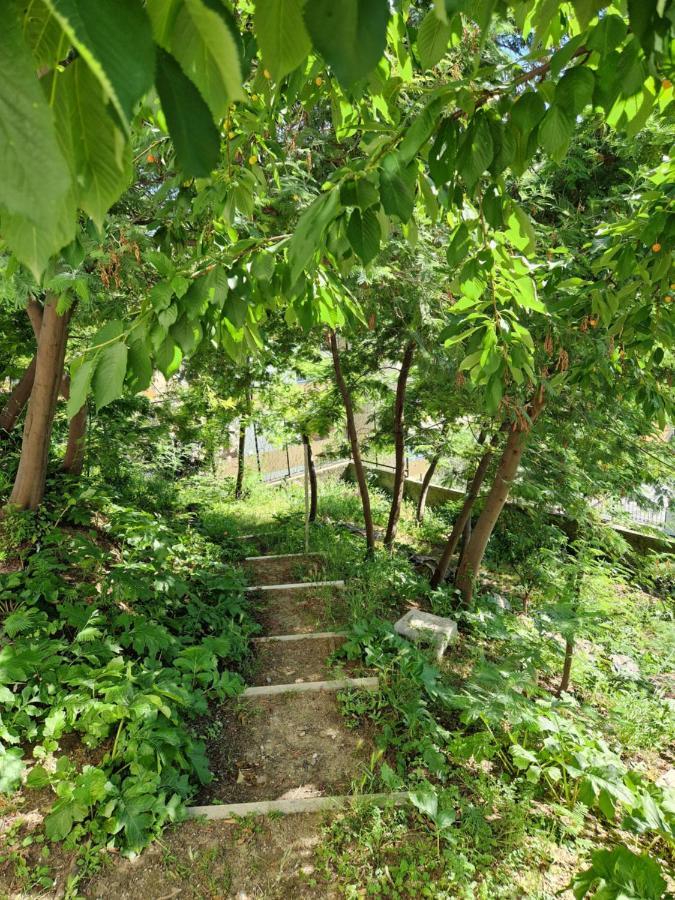 Garden & View Διαμέρισμα Λα Σπέτσια Εξωτερικό φωτογραφία
